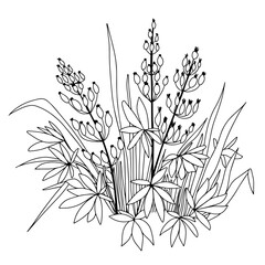 Outline abstract flowers. Doodle hand drawn botanic vector illustration.