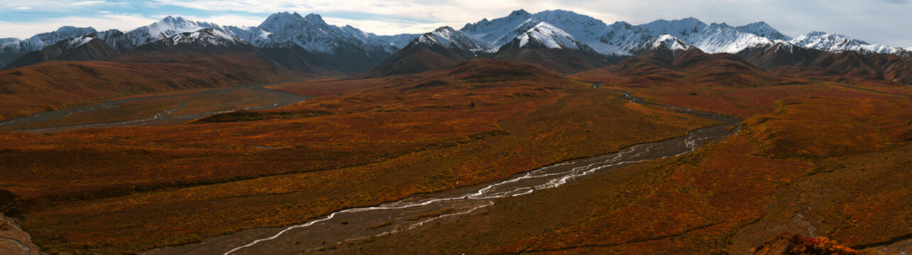 Panoramic view of the snow capped Polychrome Mountains in Denali National Park with glacial rivers and fall colors.
