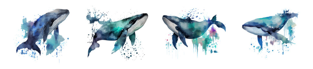 Watercolor whale on a white background. Beautiful blue whale. 52 hertz. Inhabitant in the waters of the oceans. Whale watercolor set. Ideal for postcard, book, poster, banner. Vector illustration © marikova