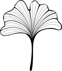 Fourth Monochrome Leaf of Ginko Biloba