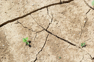 dry land in the dry season Drought, ground cracks, no hot water. Lack of humidity effect from global cracked soil in drought abstract nature background with cracked soil