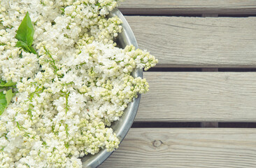 White lilac bowl on a wooden backdrop with place for text