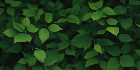 green leaves background, nature concept, copy space for text, illustration, Generative, AI