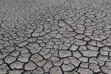 The ground has cracks in the top view for the background or graphic design with the concept of drought and death