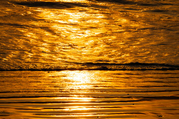 ゴールドに光り輝く水面の湘南の海