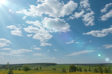 A field of yellow dandelions in a summer timelapse, clouds float across the blue sky, the rays of the sun penetrate through the clouds. Forest in the background. Outdoor recreation