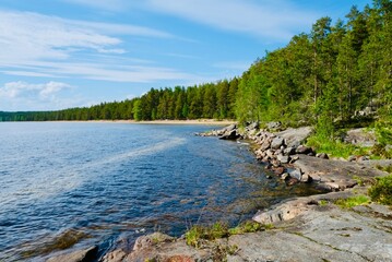 Wild lake in the forest, north lake coast