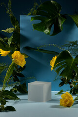 Minimalist botanical background with copy space. Creative showcase with fresh plants for product...