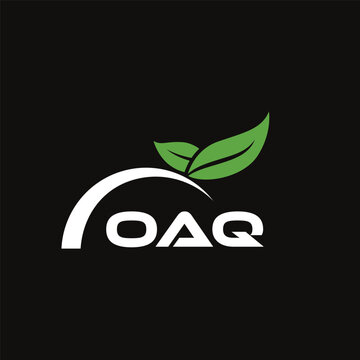 OAQ letter nature logo design on black background. OAQ creative initials letter leaf logo concept. OAQ letter design.