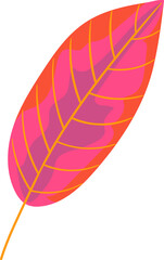 Colorful tropical leaf vector