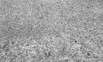 outdoor stone road pavement texture background