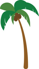 Coconut tree