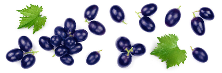 Fototapeta premium blue grapes isolated on the white background. Top view. Flat lay pattern