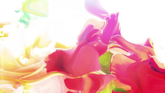 ピンクとオレンジのカラフルで鮮やな花模様のテクスチャ映像　サイケデリックな絵画的で抽象的な背景アニメーション