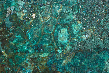 mineral textures of copper mines