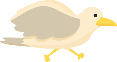 Marine sea bird icon cartoon vector. Seabird fly. Cute animation