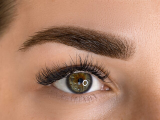 permanent eyebrow make up close up