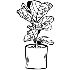 Ornamental plant, Home plant for living room, Pot with tree, Home decoration, Hand drawn