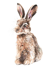 Cute rabbit on a white background. Watercolor illustration.