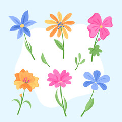 Bonita colección de flores y hojas de primavera