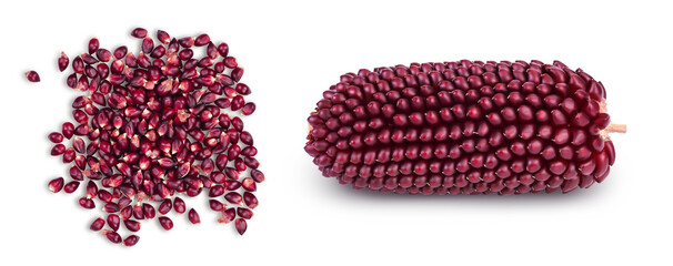 Purple corn or maize seeds isolated on white background with full depth of field. Top view. Flat lay