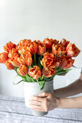 Bouquet of orange tulips in female hands in the interior of the room, close-up.