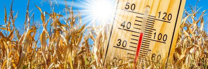 climate change with heat and dryness