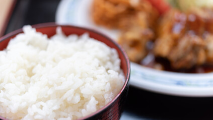 美味しそうな鶏肉の照り焼き