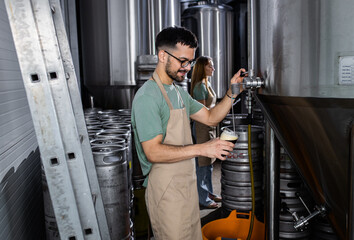 Male brewer working in craft brewery examining quality of the beer.