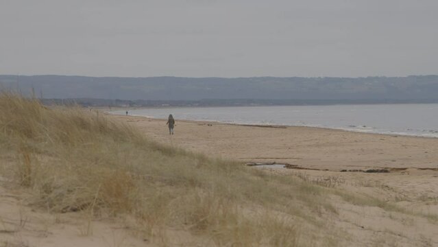 Woman with dog walking on an empty winter beach, Mellbystrand, Halland