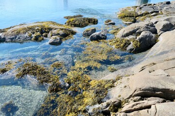 rocky coastline, huge stone in the water