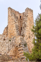 Fototapeta na wymiar Ajloun Castle built by the Ayyubids, Jordan