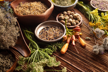 Natural medicine background. Assorted dry herbs in bowls, mortar and plants on rustic wooden table.