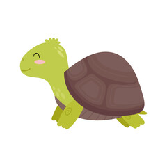 Turtle. Vector illustration of a ground turtle. Cute smiling turtle.