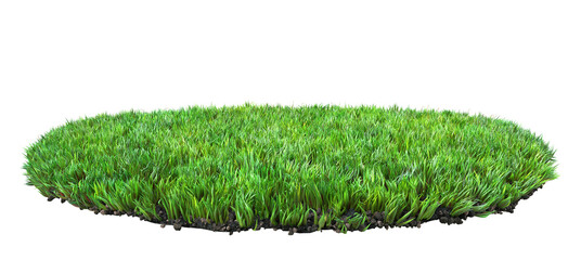 green grass turf isolated on white background 3D illustration, transparent background, png