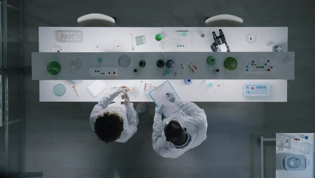 Top view of two scientists working with samples and making notes in document during their teamwork in the lab
