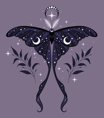 Vector illustration of night moon moth. For print for T-shirts and bags, decor element. Mystical and magical, astrology illustration - obrazy, fototapety, plakaty