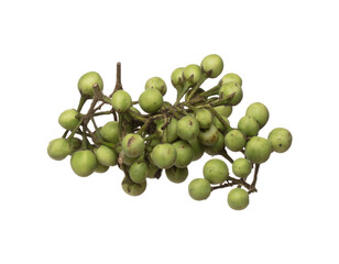Green Berry Eggplant fly fall, Green Berry Eggplant for planting float in air. Nightshade Berry Eggplant throw in mid air. White background isolated high speed freeze motion