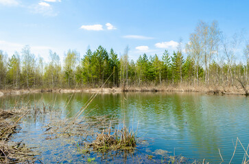 forest lake in early spring