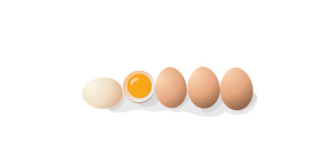brown chicken eggs isolated on a white background. Whole eggs lie in a row and one broken egg with yolk. Vector illustration