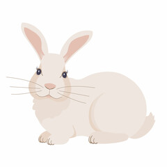 Fototapeta na wymiar Vector illustration of a rabbit, close - upview isolated on a white background. Bunny graphics for Easter stickers and postcards.