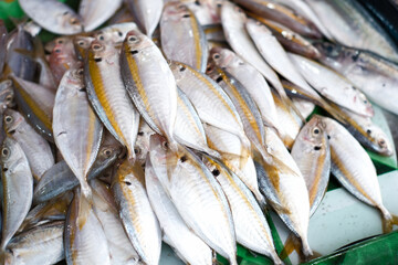 Fresh fish are sold in traditional markets