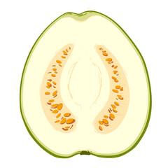 Guava, vector illustration of tropical green fruits. The flesh is white, the skin is green. A clipart highlighted on a white background.