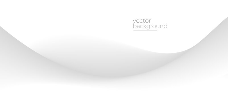 Curve shape flow vector abstract background in light grey gradient, dynamic and speed concept, futuristic technology or motion art.