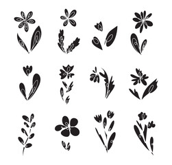 vector collection set of flowers botany line solid line draw black silhouette pink background suitable for social media