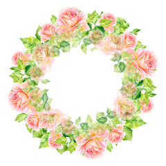 A wreath of pink roses. Watercolor illustration. Delicate roses. Rose garden. Botanical illustration.