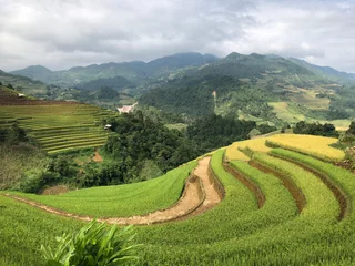 Foto auf Acrylglas terrace , rice field in northern Vietnam is beautiful landscape © dung