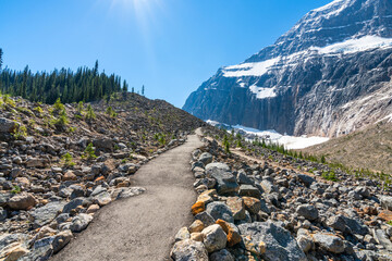 Canadian Rockies nature trails scenery. Jasper National Park beautiful landscape. Alberta, Canada. Forest and Mount Edith Cavell Mountain in the background.