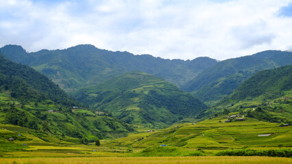 Fototapeta premium In agriculture, a terrace is a piece of sloped plane: northern of Vietnam