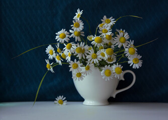 Beautiful bouquet of daisies in a white cup